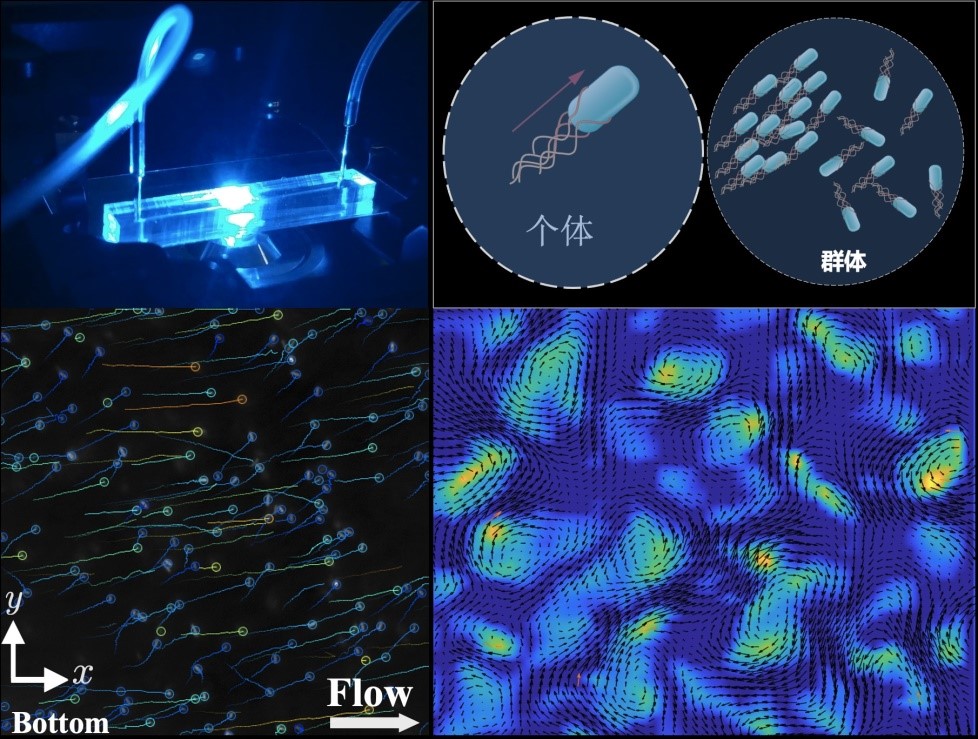 2025年创新领域盘点——创新活力持续迸发
