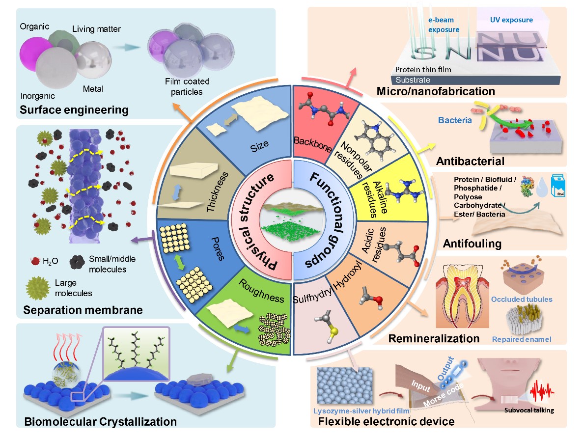 “率先行动”计划